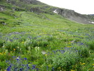 photo thumbnail #12