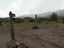 photo thumbnail #11