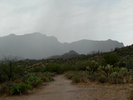 photo thumbnail #12