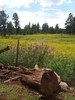 photo thumbnail #8