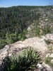 photo thumbnail #9