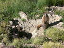 photo thumbnail #12