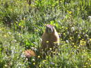 photo thumbnail #15