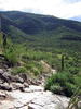 photo thumbnail #4