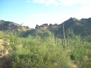 photo thumbnail #6