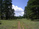 photo thumbnail #12