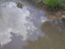 photo thumbnail #13