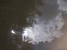 photo thumbnail #15