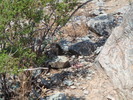 photo thumbnail #1