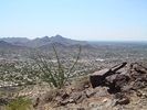 photo thumbnail #5