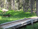 photo thumbnail #7