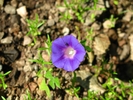 photo thumbnail #9