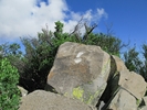 photo thumbnail #11