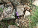 photo thumbnail #14