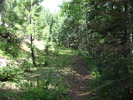 photo thumbnail #7
