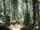 photo thumbnail #9
