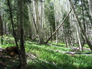 photo thumbnail #10