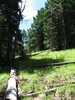 photo thumbnail #12