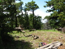 photo thumbnail #13