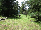 photo thumbnail #14