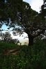 photo thumbnail #14