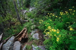 photo thumbnail #15