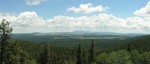 photo thumbnail #6