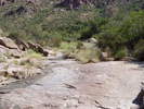 photo thumbnail #10