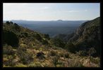 photo thumbnail #13