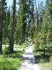 photo thumbnail #1