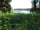 photo thumbnail #2