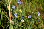 photo of comment