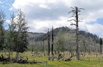 photo of comment