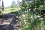 photo thumbnail #7