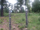 photo thumbnail #8