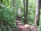 photo thumbnail #10