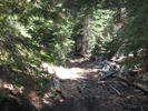 photo thumbnail #7