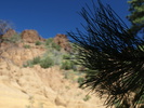 photo thumbnail #12