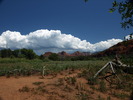 photo thumbnail #7