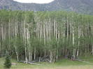 photo thumbnail #15