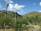 photo thumbnail #1