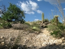 photo thumbnail #4