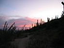 photo thumbnail #8