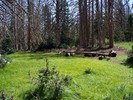 photo thumbnail #10
