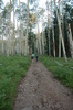 photo thumbnail #1