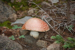 photo thumbnail #10