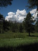 photo thumbnail #13
