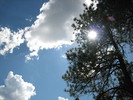 photo thumbnail #15