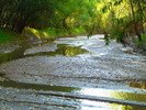 photo thumbnail #5