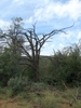 photo thumbnail #3
